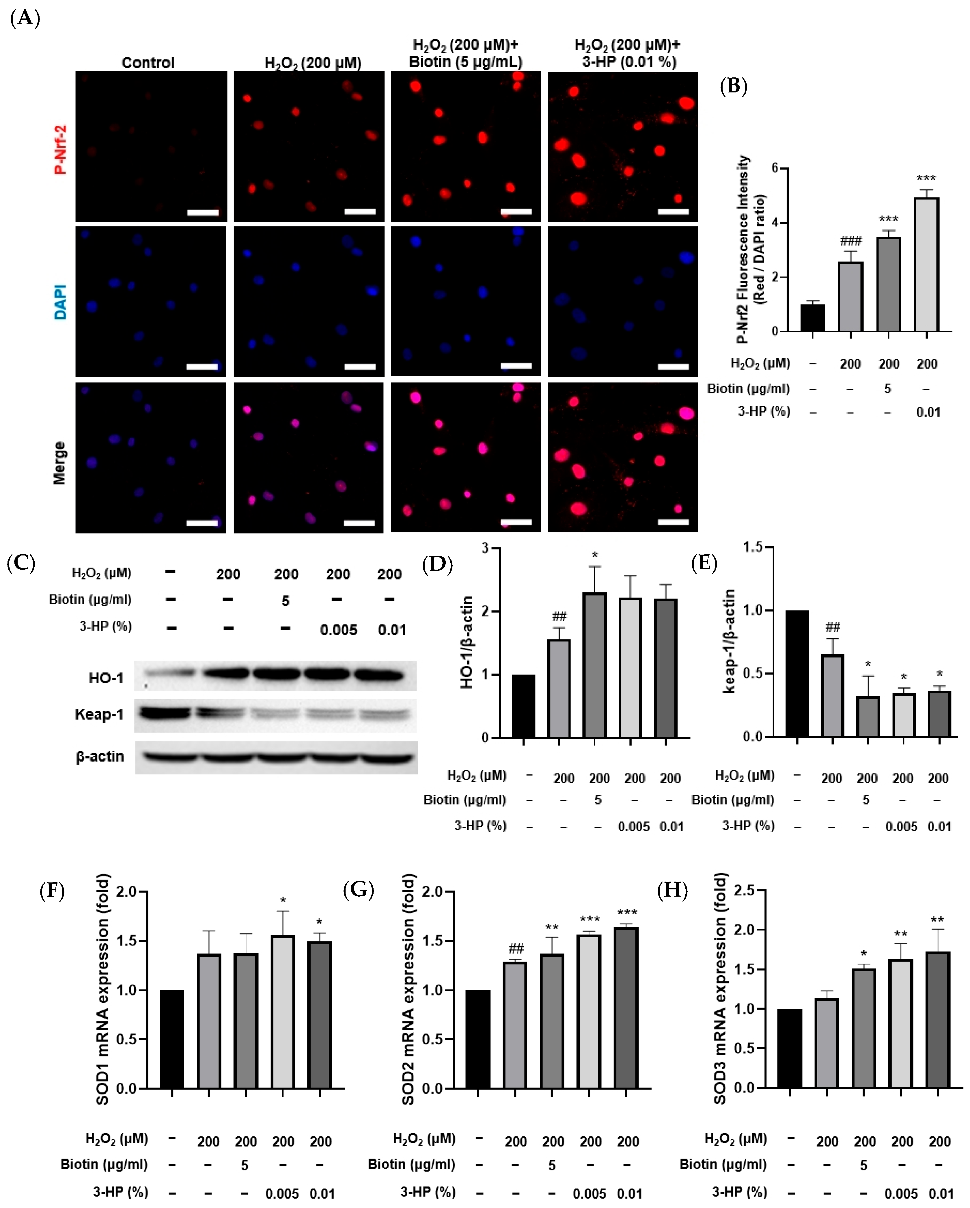 Ijms 27 01480 g005 Ijms 27 01480 g005