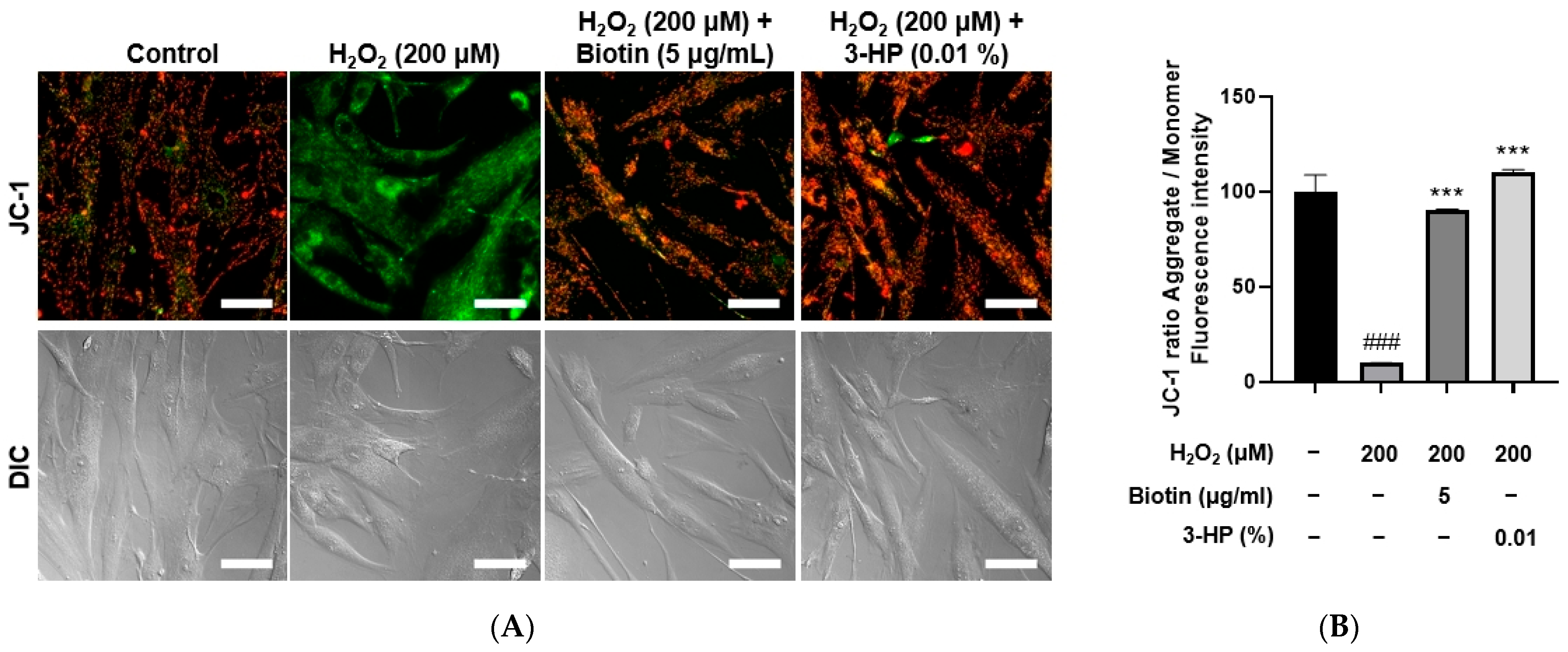 Ijms 27 01480 g006 Ijms 27 01480 g006