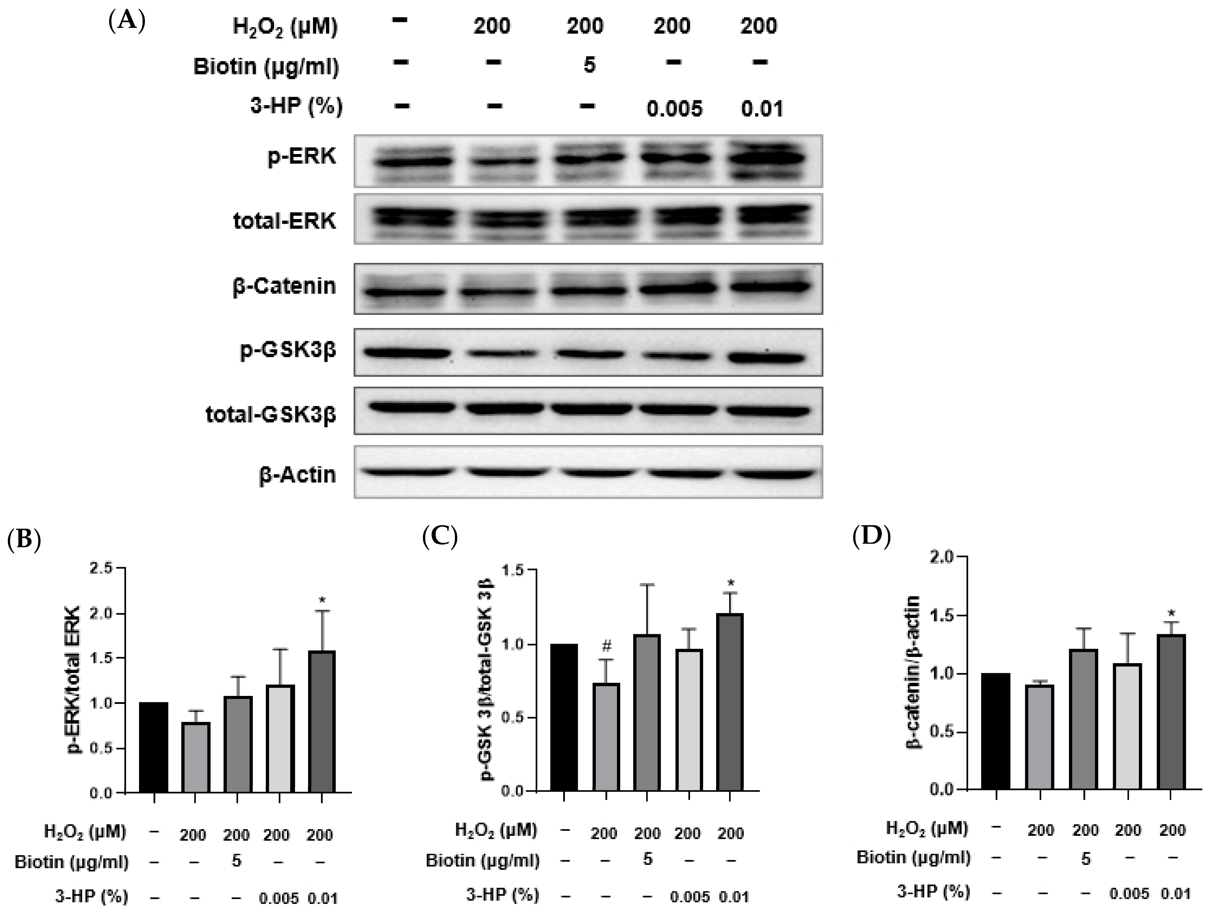 Ijms 27 01480 g007 Ijms 27 01480 g007