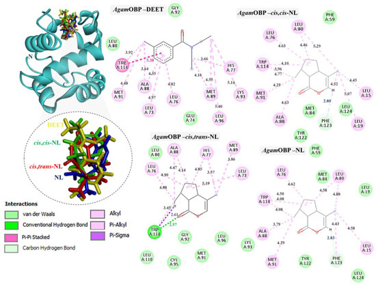 A Safer Alternative Bio-Repellent: Targeting Mosquito Odorant