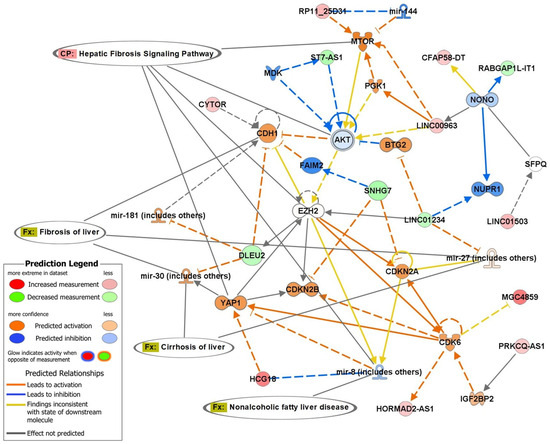 Transcriptomic Profiling of MicroRNA and Non-Coding RNA from Whole