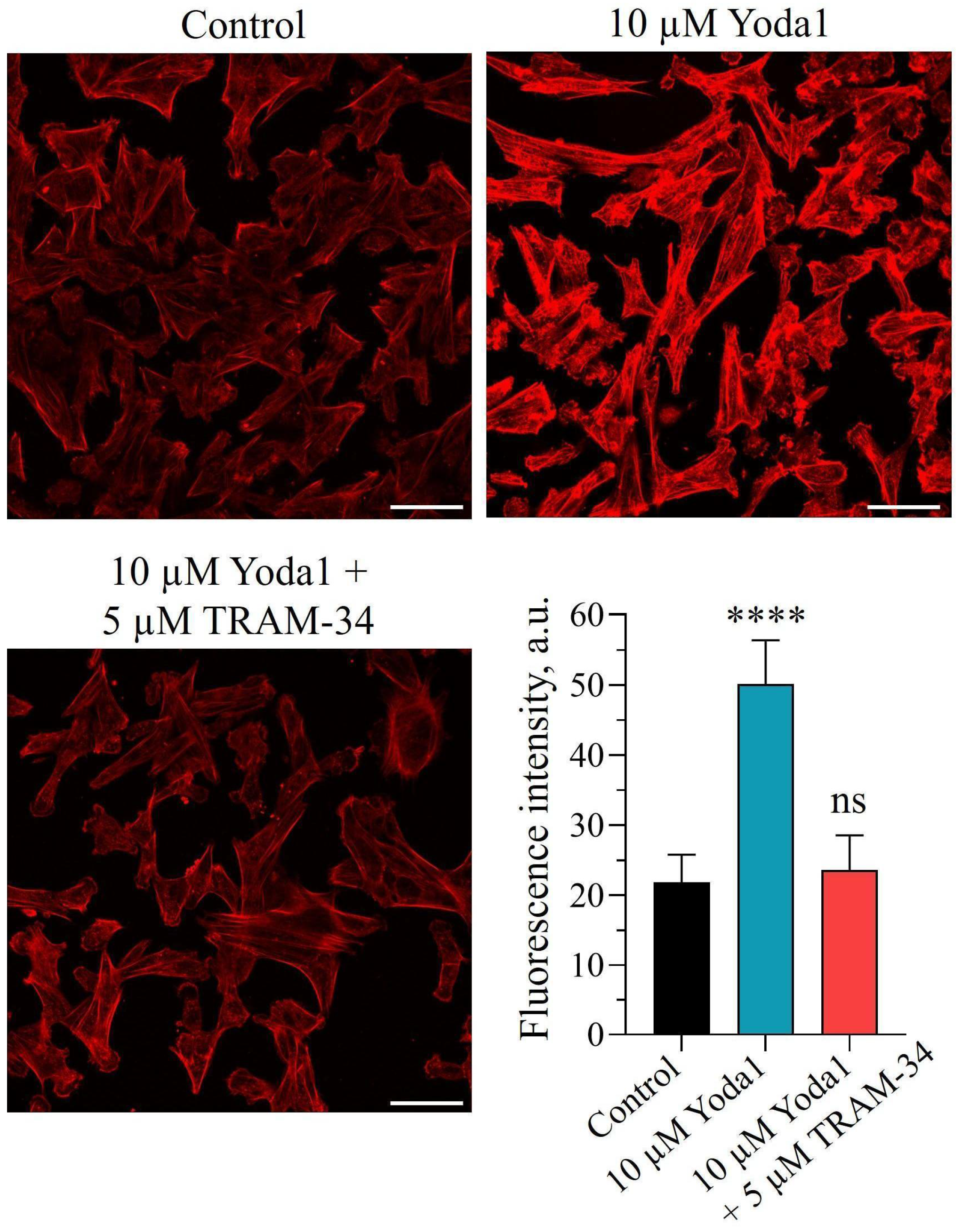Ijms 27 01743 g003