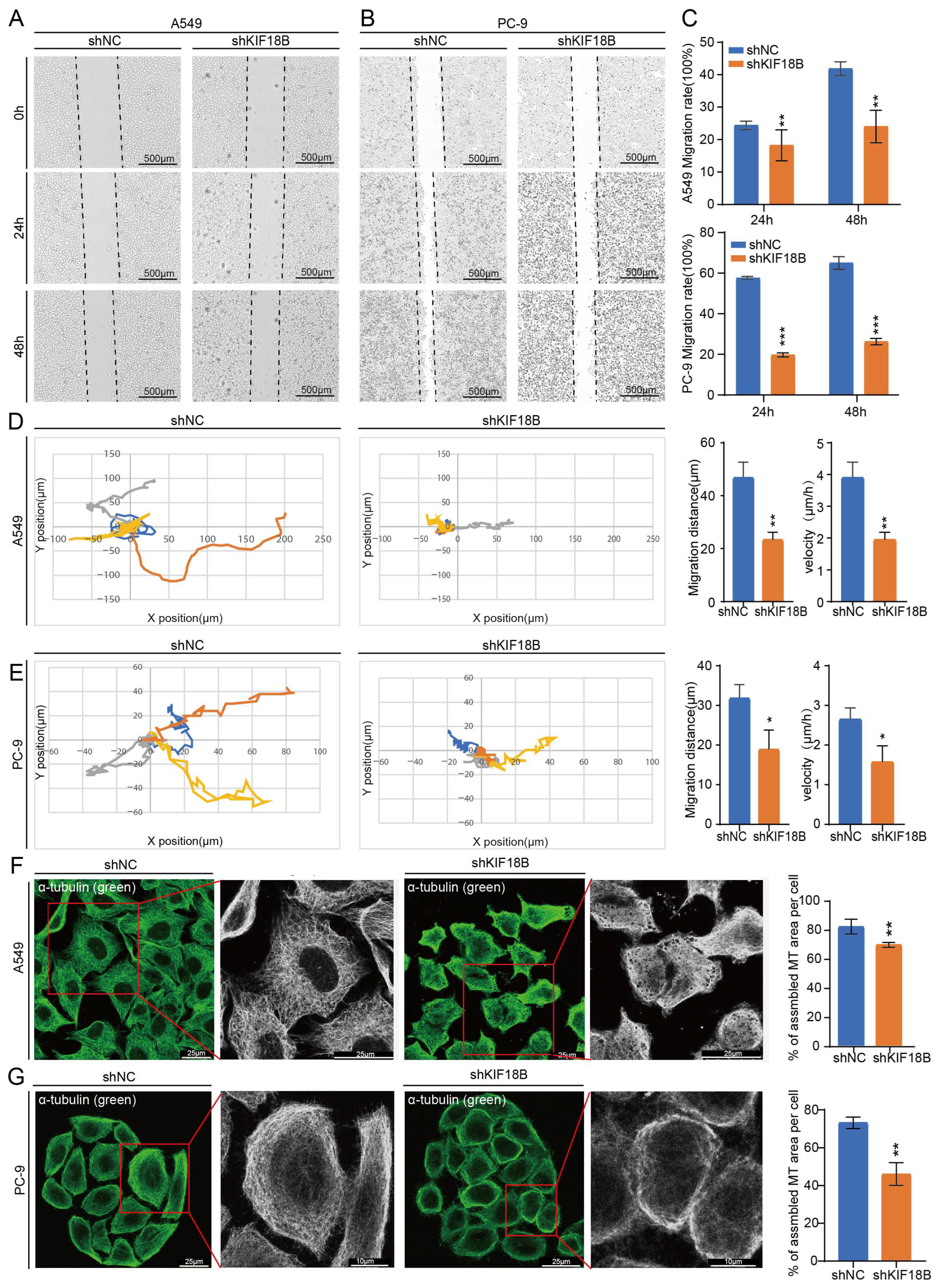 Ijms 27 01807 g006