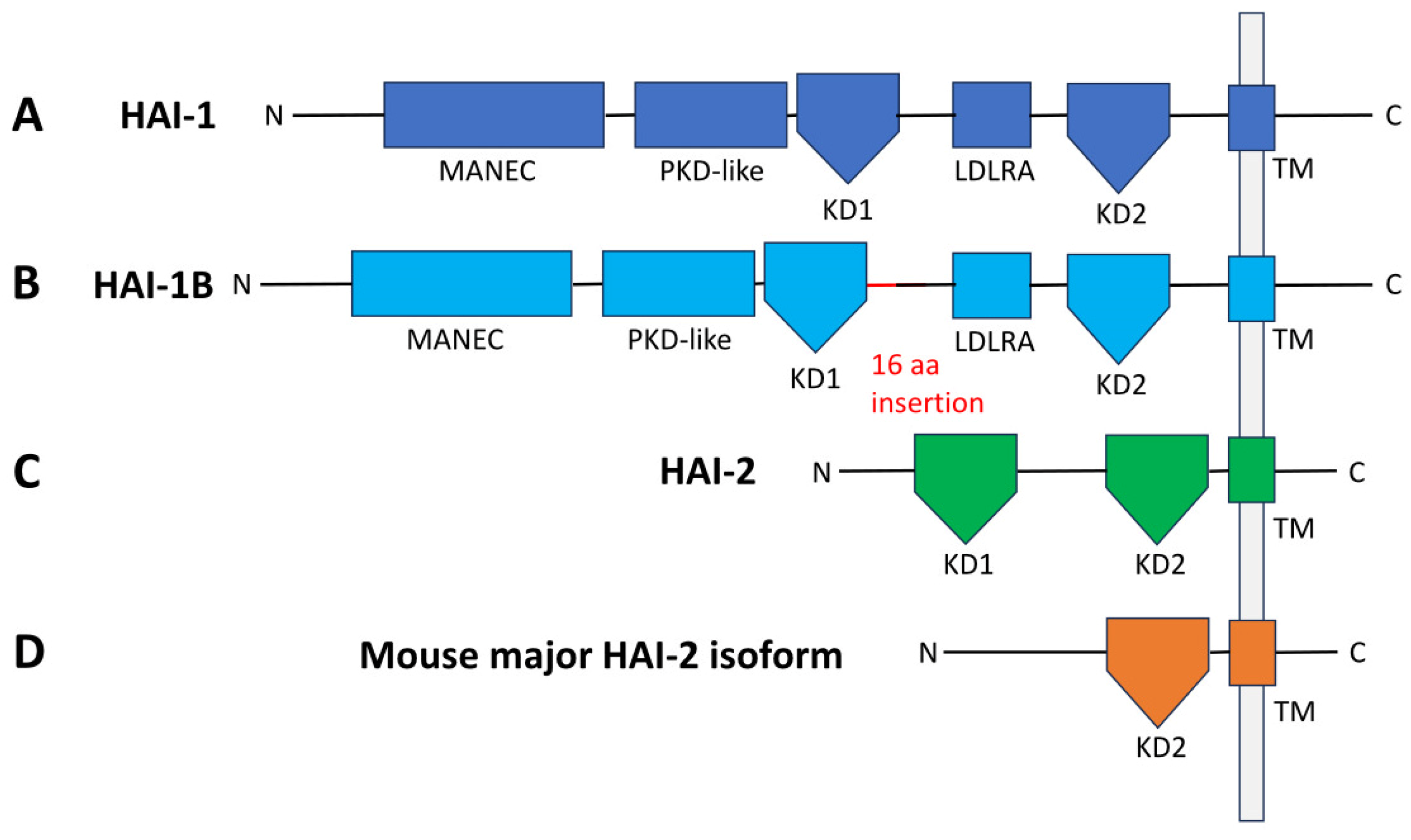 Ijms 27 02000 g001