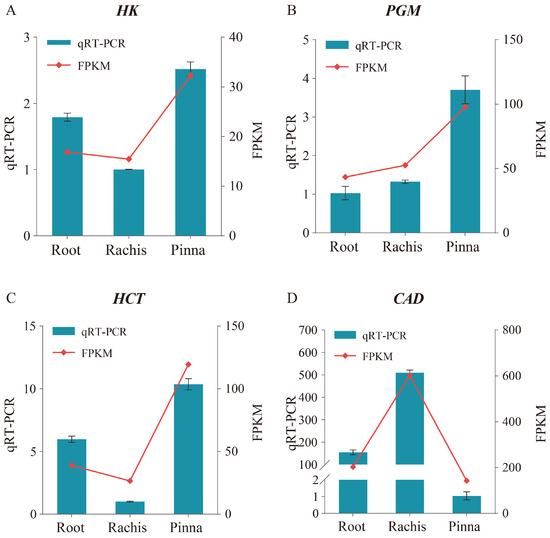 Deciphering the Biosynthetic Pathways and Regulatory Networks of