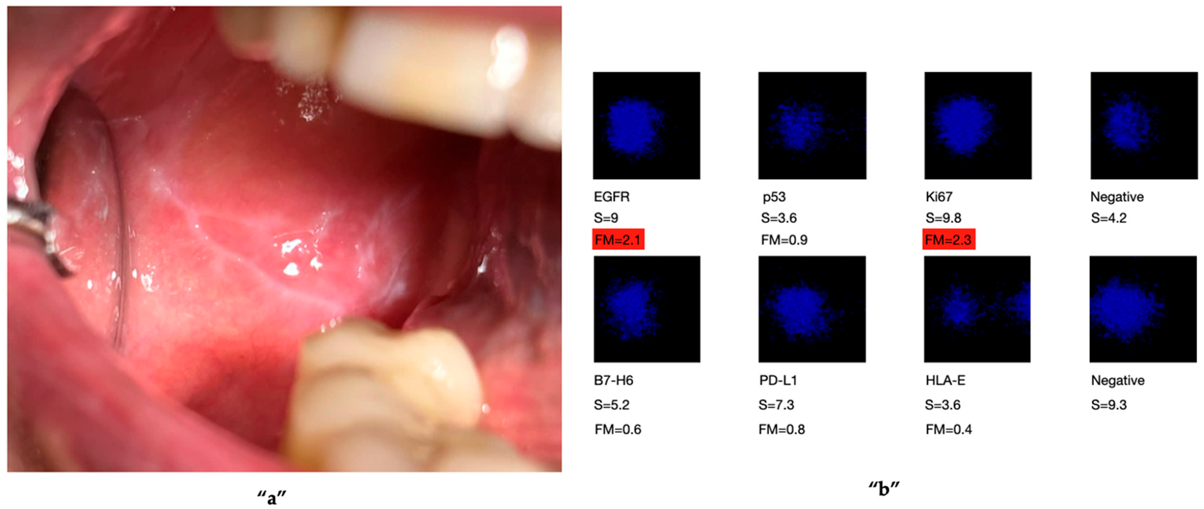 Ijms 27 02059 g002