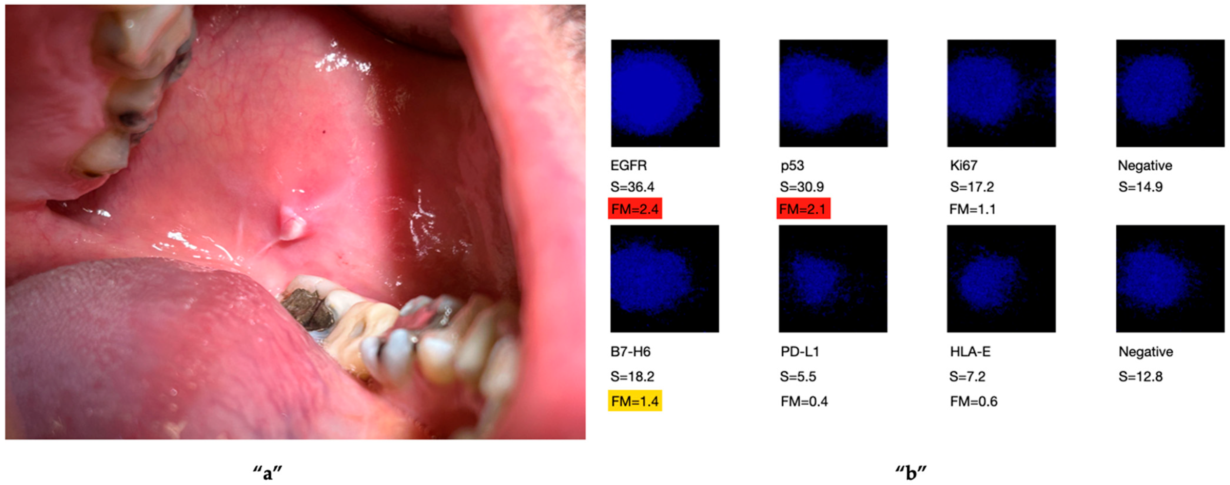 Ijms 27 02059 g003