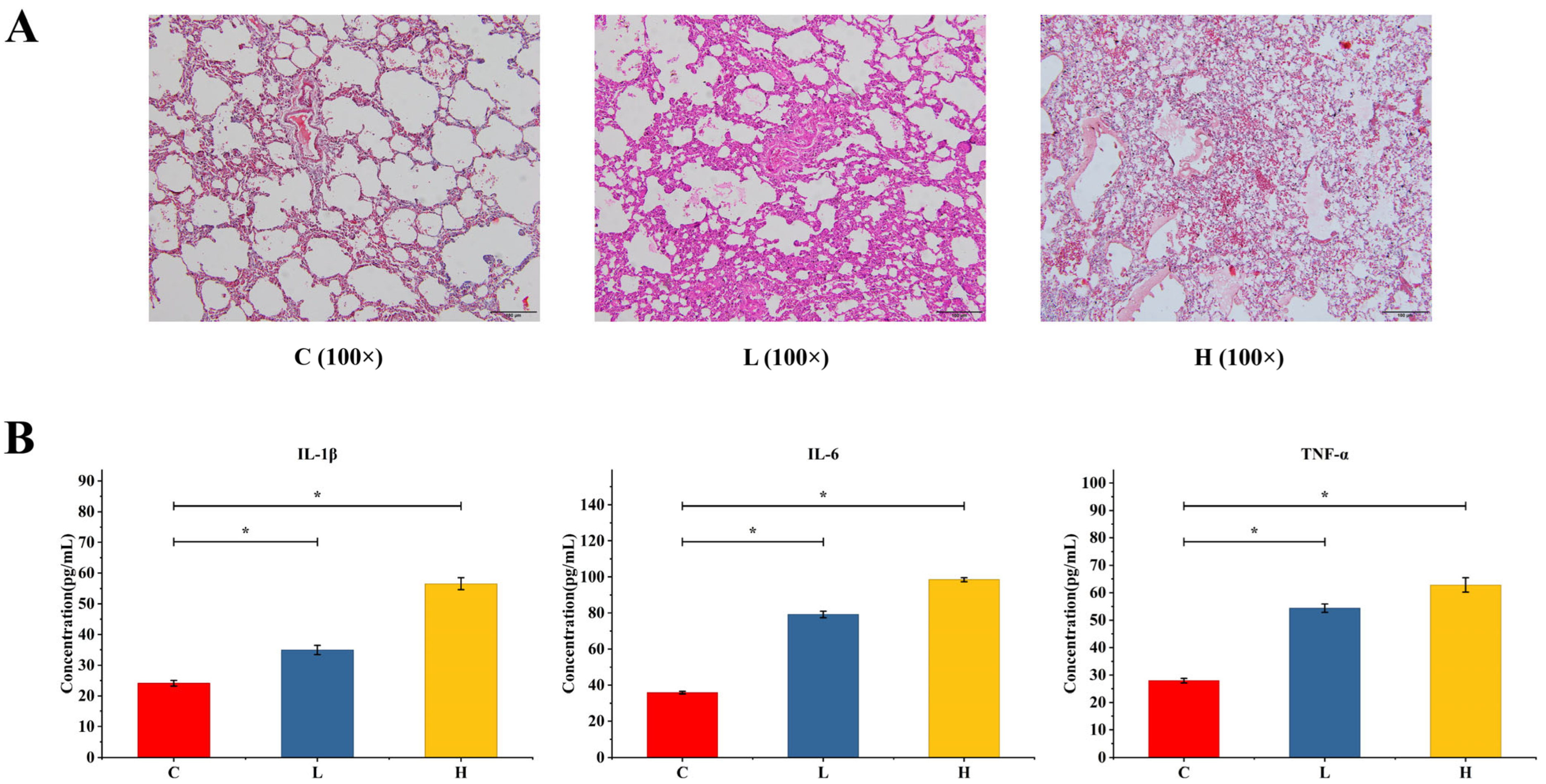 Ijms 27 02170 g001