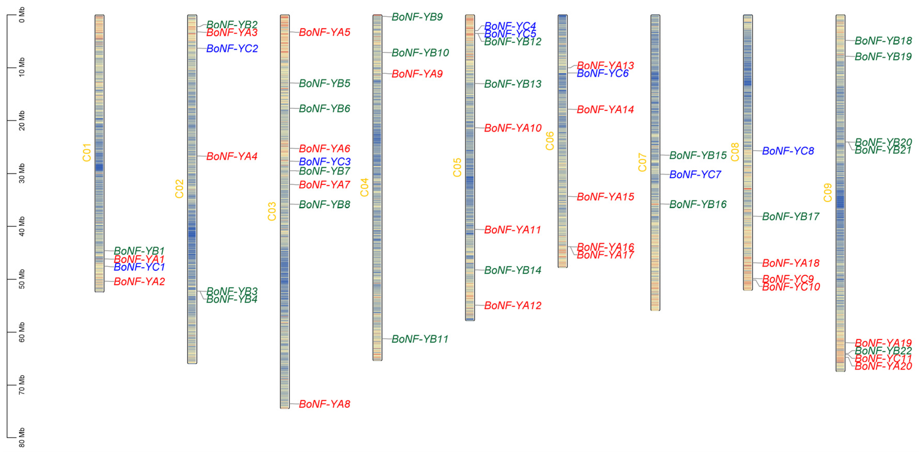 Ijms 27 02256 g003 Ijms 27 02256 g003