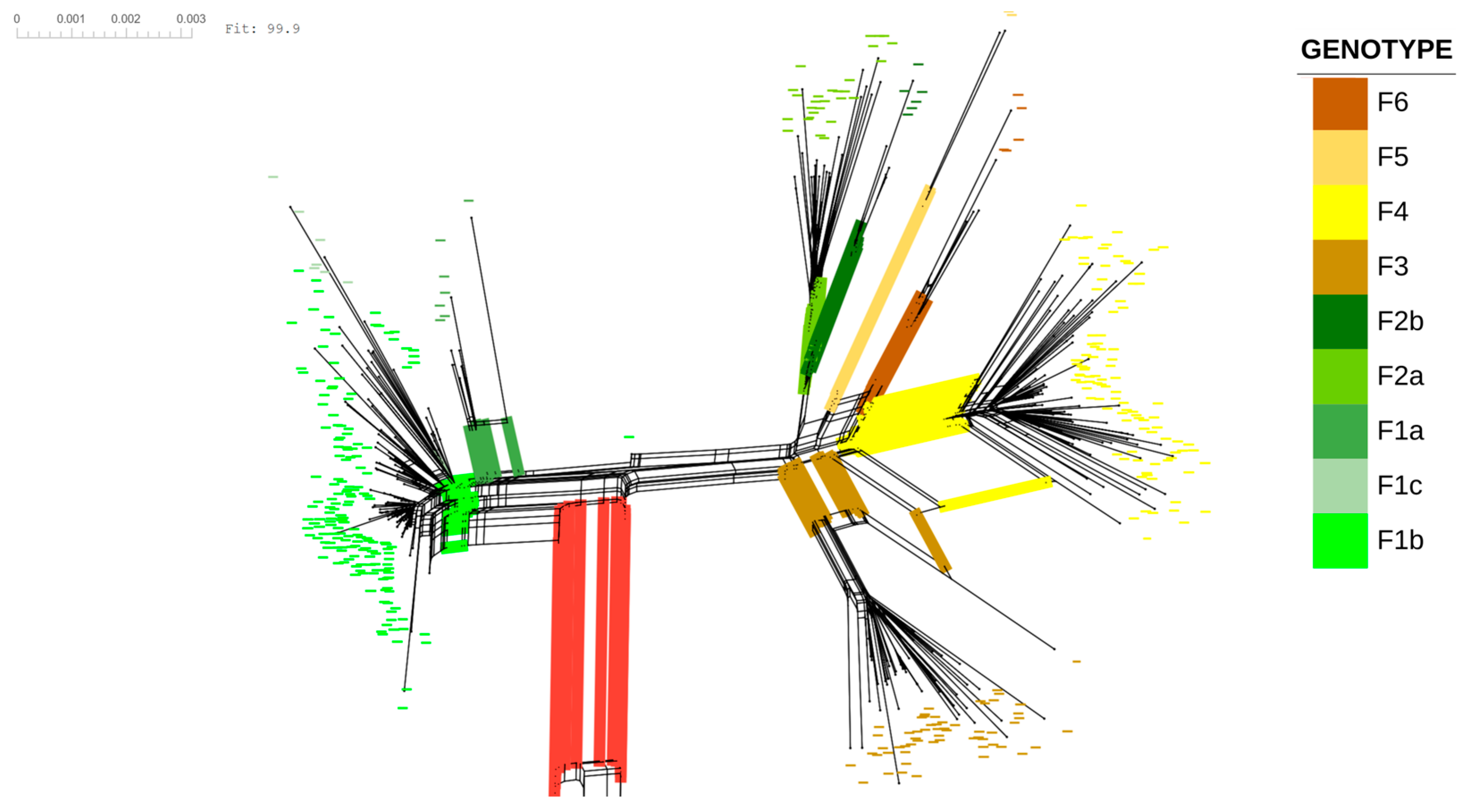 4.1-②専用ページ From Genome Diversity to Inferred Functional Constraints: An
