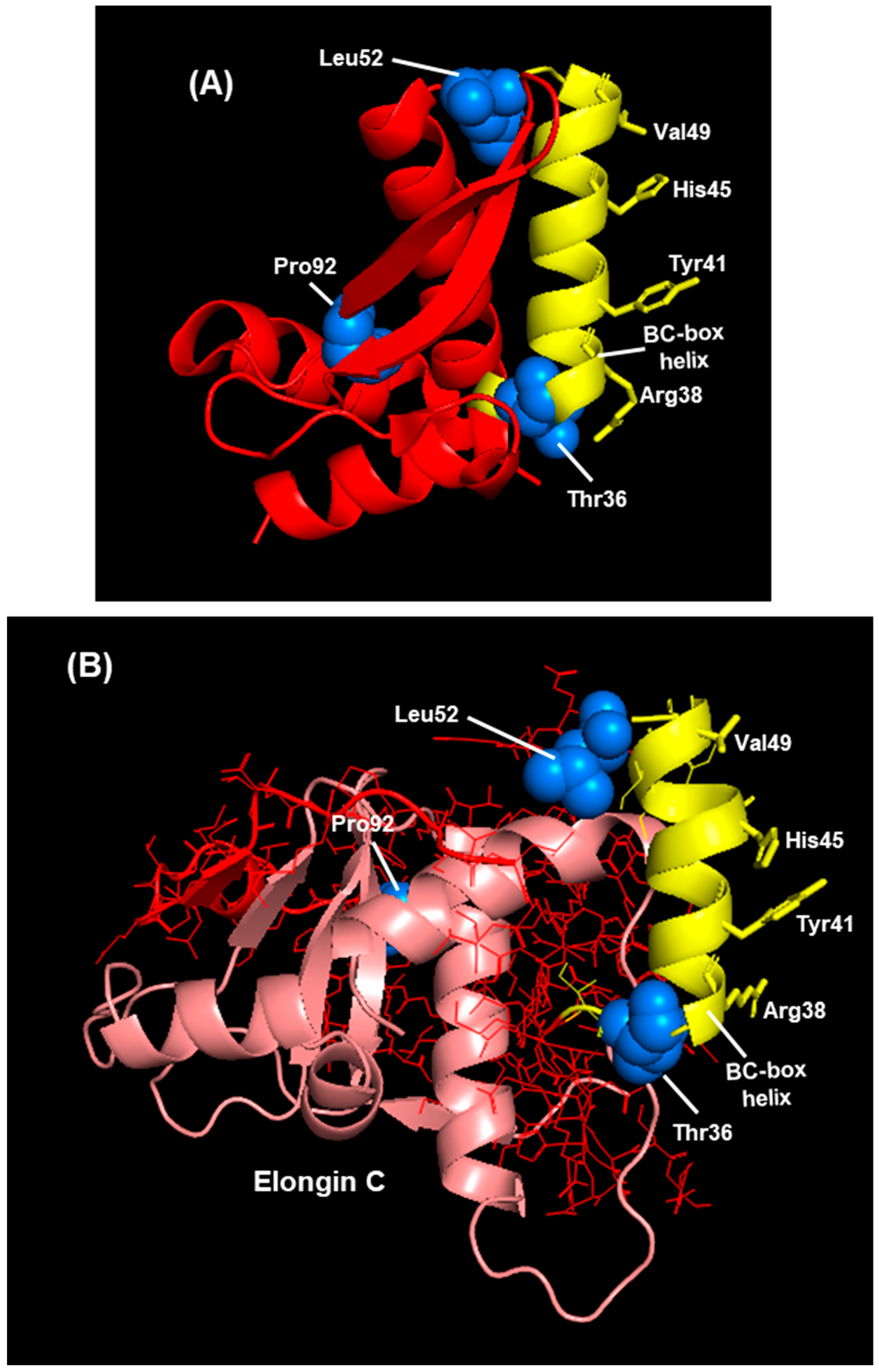 Ijms 27 02437 g011