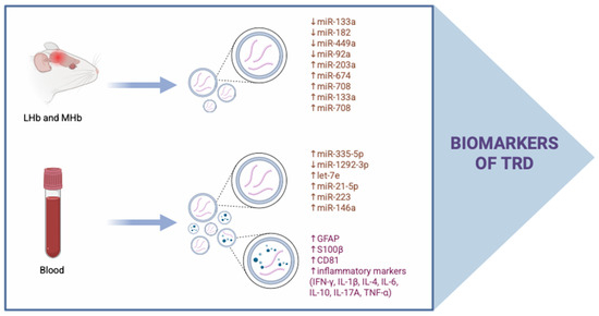 The Role of Exosomes in the Regulation of Molecular Mechanisms