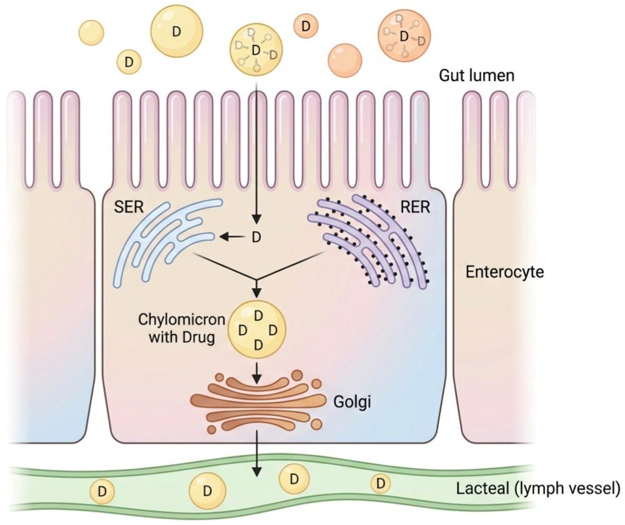 Synergistic Anticancer Effects of Vitamin D and Plant-Derived