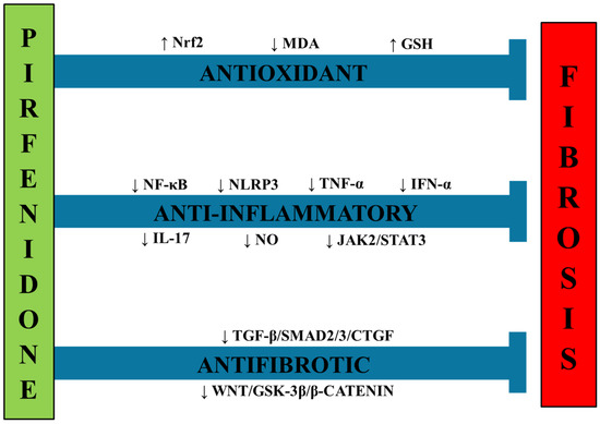 Potential Therapeutic Strategies for Steatosis, Oxidative Stress