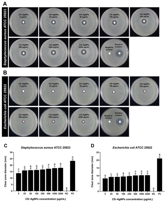 Radiolytic Synthesis of Chitosan-Stabilized Silver Nanoparticles