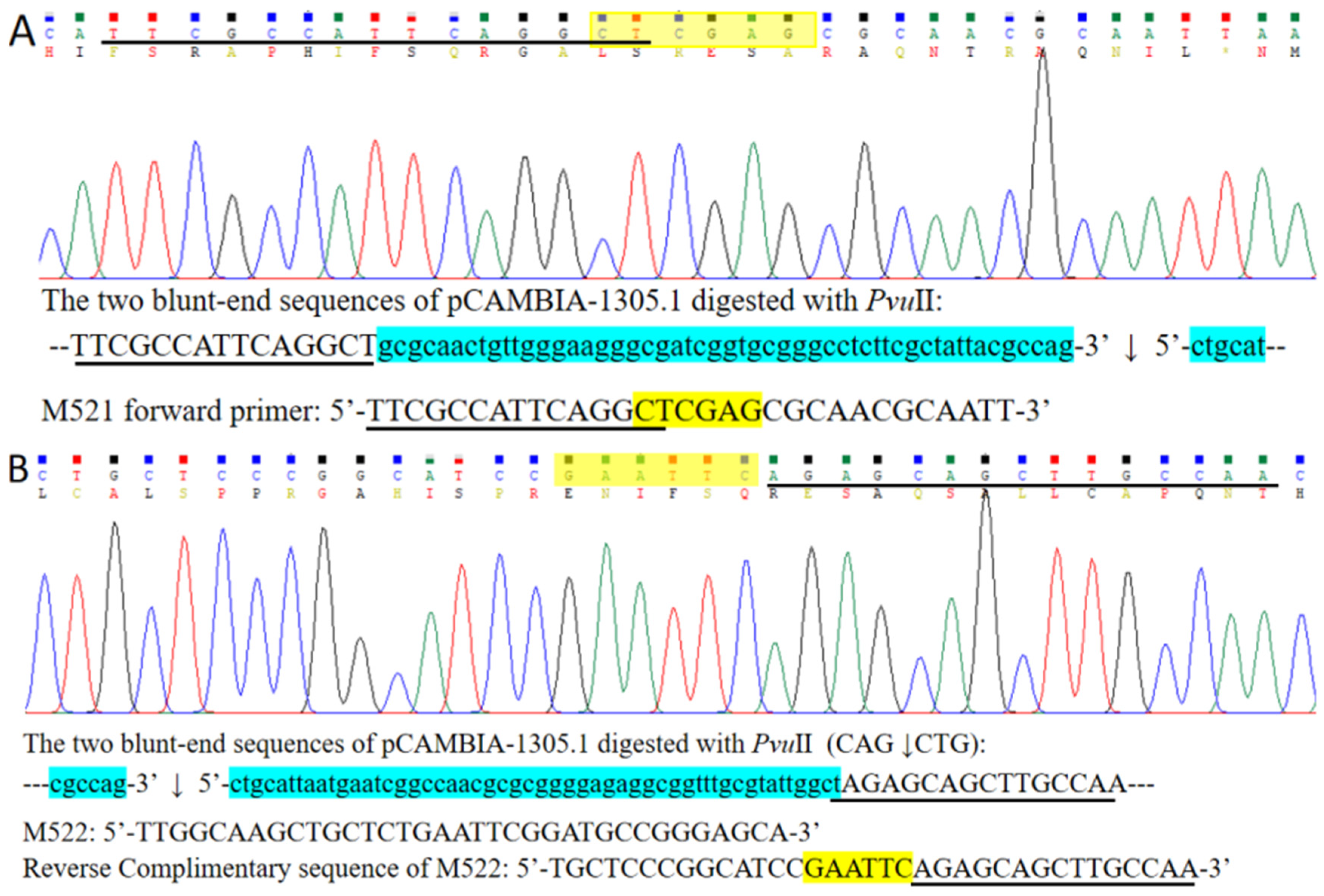 Ijms 27 02604 g007