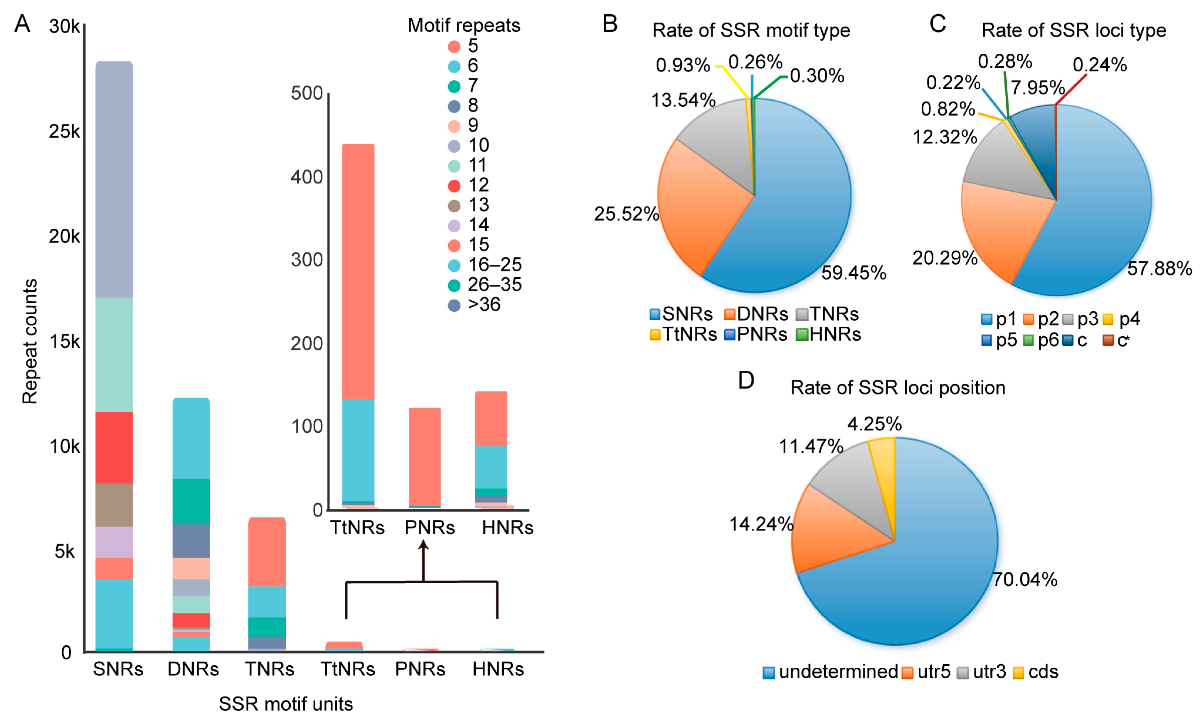 Transcriptome-Wide Identification and Development of SSR Markers for ...