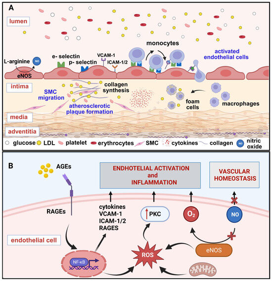 Hyperglycemia-Induced Endothelial Dysfunction: From Classical