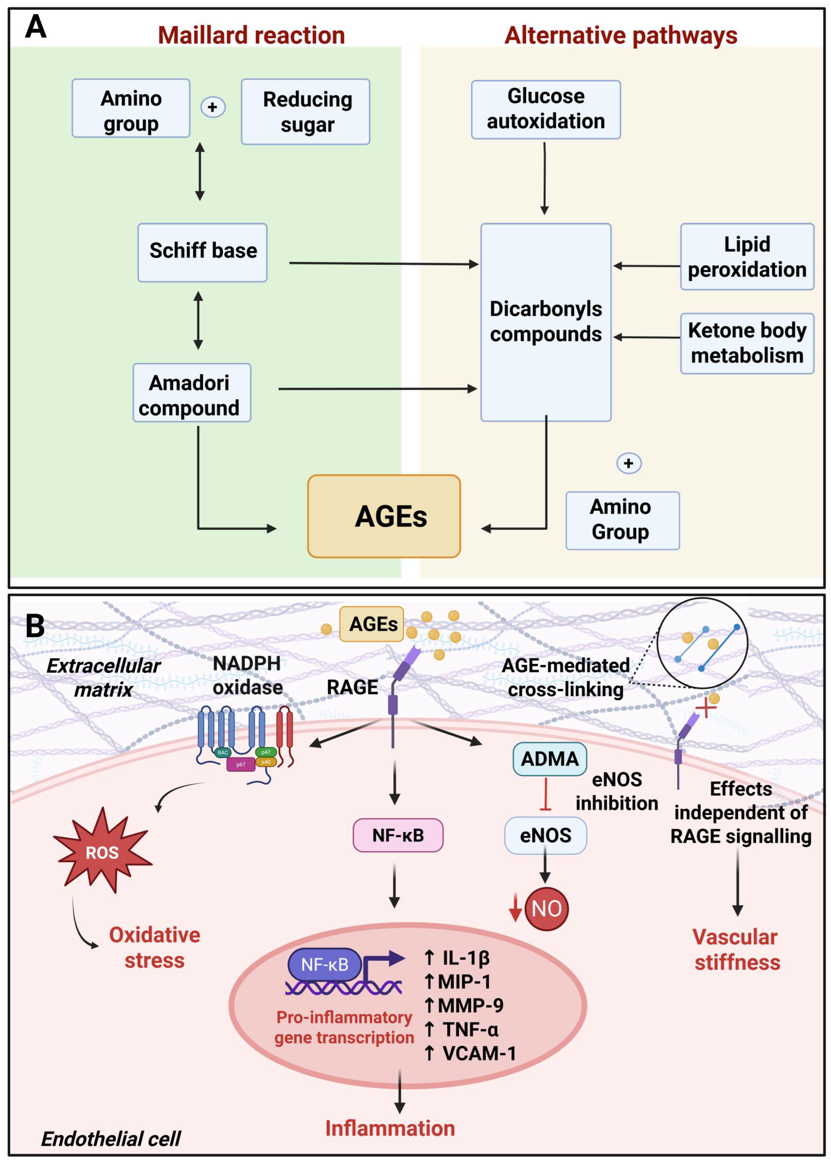 Hyperglycemia-Induced Endothelial Dysfunction: From Classical