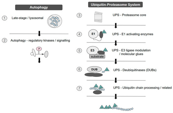 The Art of Domesticating Proteins: How Cancer Cells Adapt to