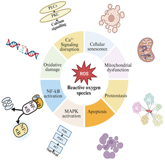 igf-1 lr3 description IGF-1 LR3 | Lab-Tested Research Peptide UK