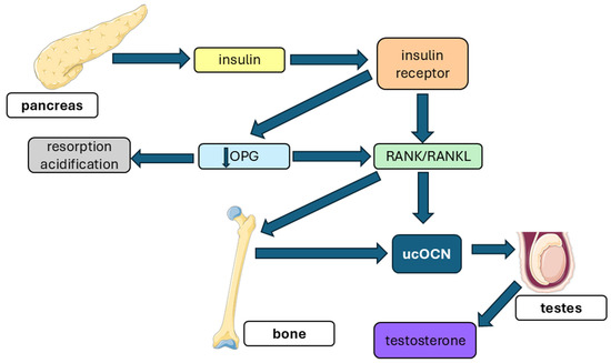 glutathione synergy neurometabolic integration Frontiers glutathione synergy neurometabolic integration ARTICLE