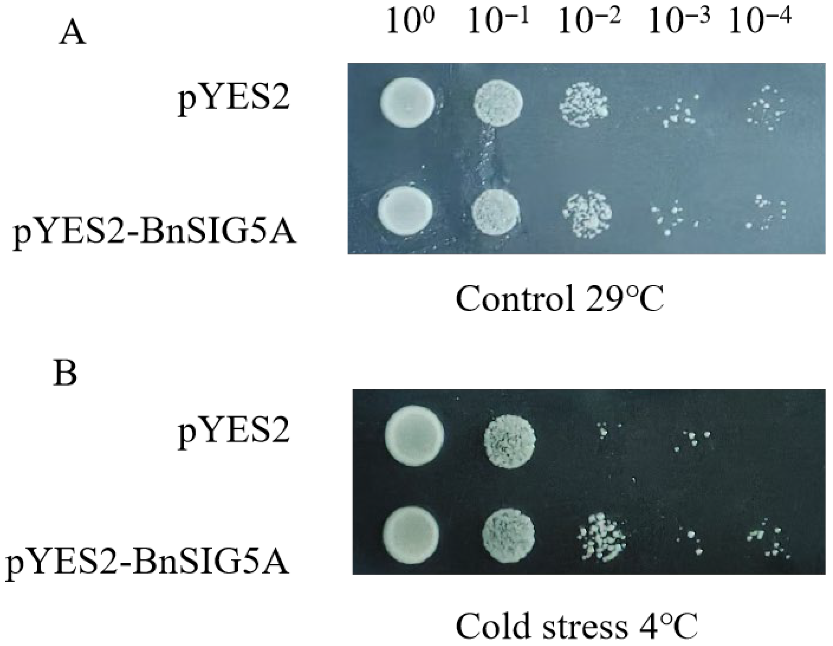 Ijms 27 03010 g009