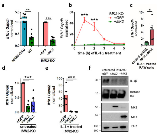 MK2/p38/p53 Suppress Basal IL-1β and Non-Canonical NF-κB Signaling