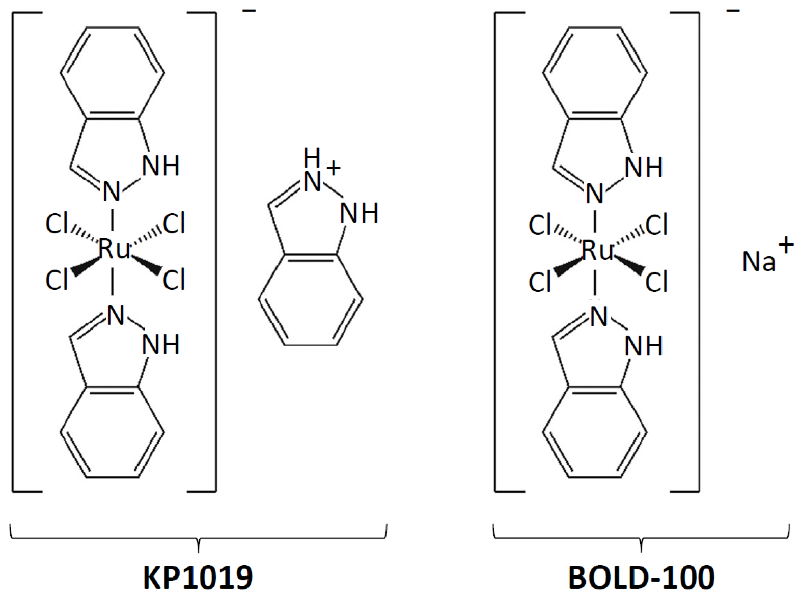 Ijms 27 03275 g001
