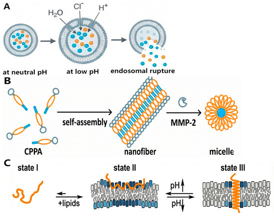 Self-Assembling Short Peptide Carriers for Gene Delivery