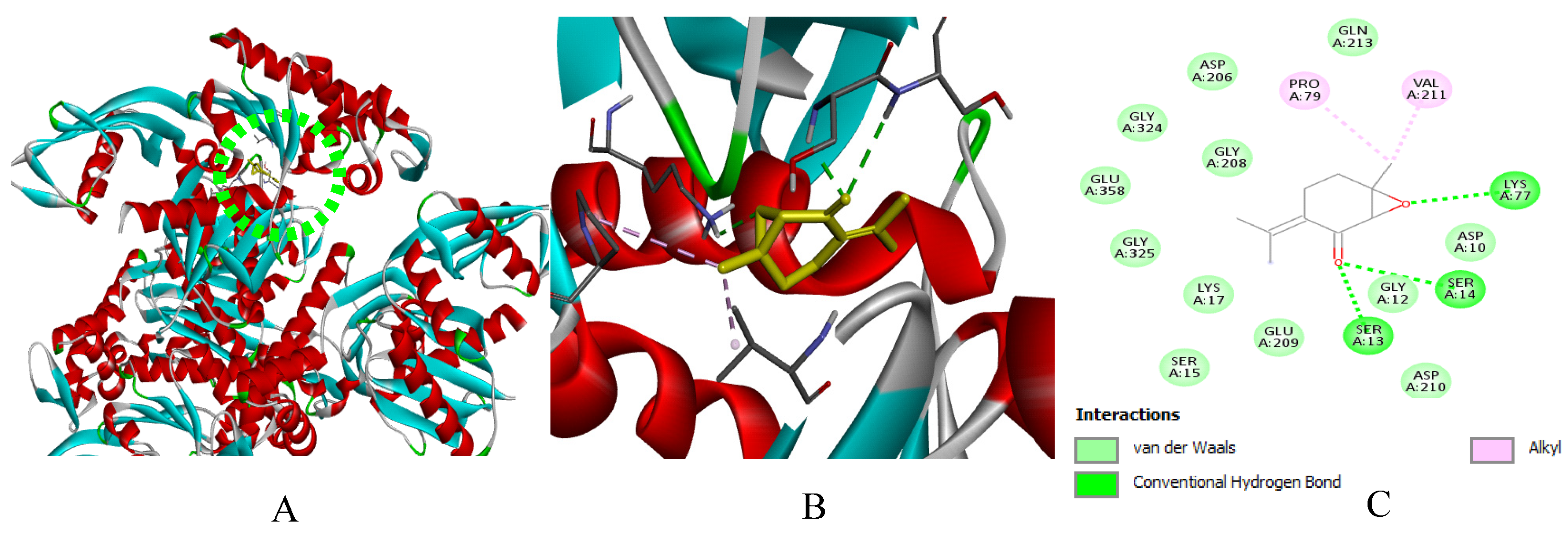 Ijms 27 03527 g009