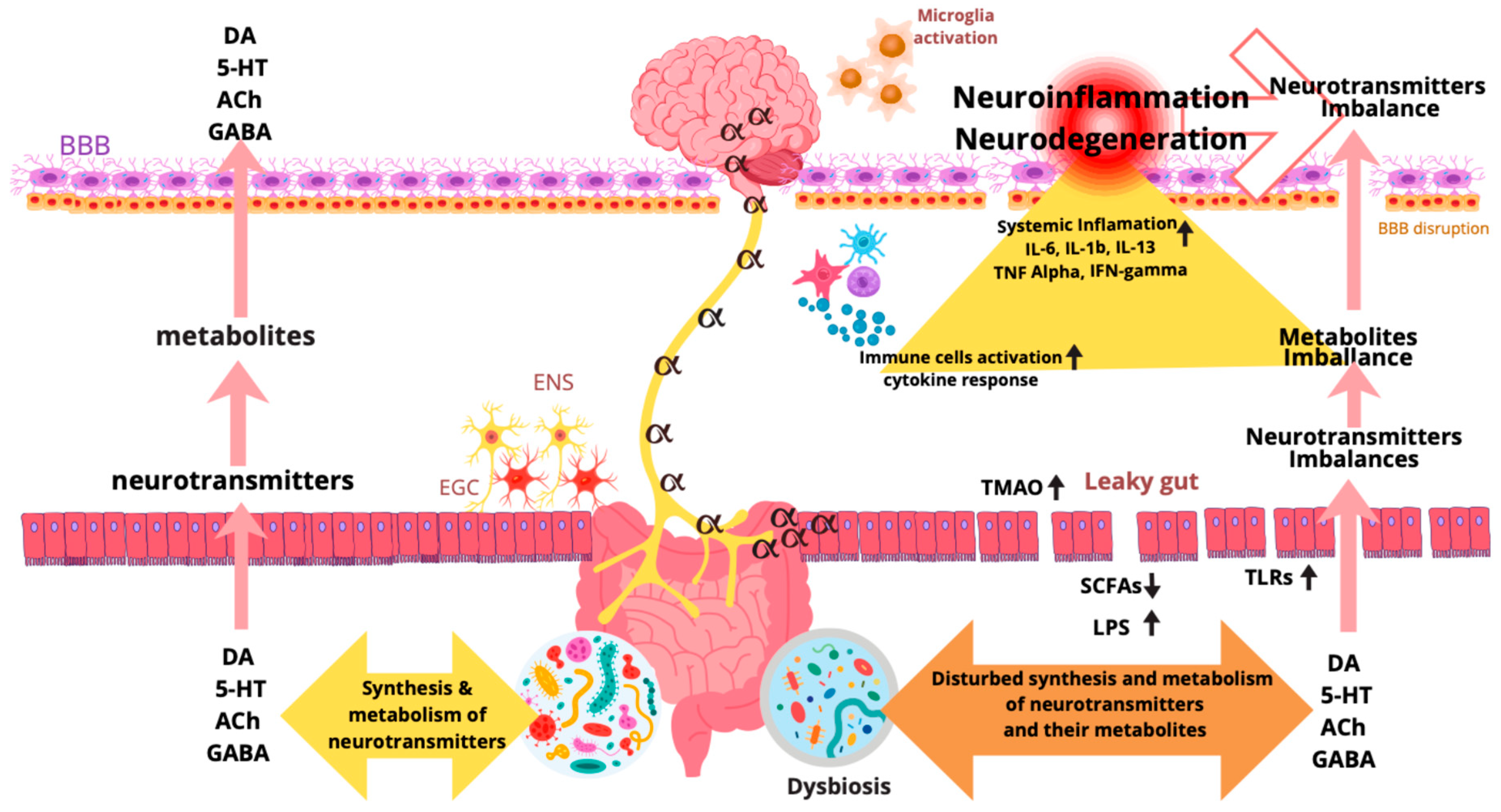 Gut–Brain Signaling in Parkinson's Disease: A Narrative Review