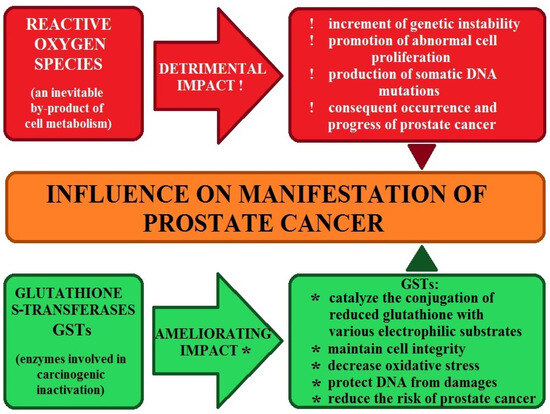 is glutathione carcinogenic Glutathione Metabolism - an overview