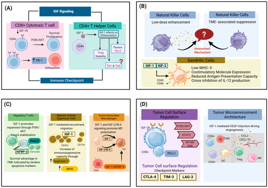 Bidirectional Interactions Between Immune Regulation and the