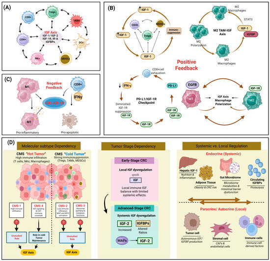 Bidirectional Interactions Between Immune Regulation and the