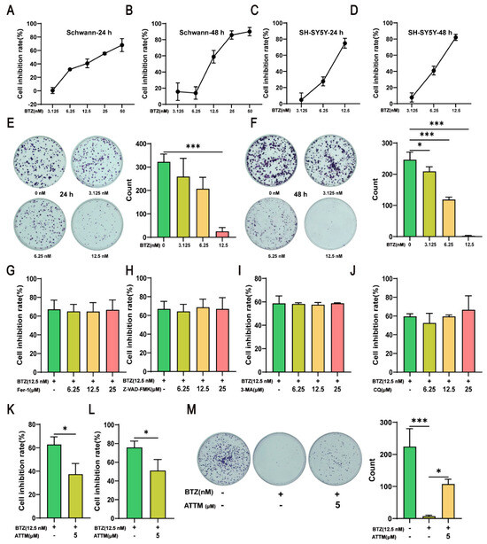 ATF3/SLC31A1-Mediated Cuproptosis Contributes to Bortezomib