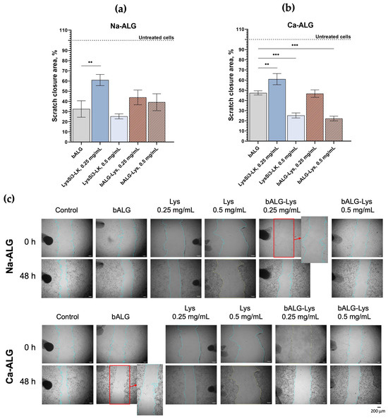 Activity and Biocompatibility Evaluation of Enzybiotic