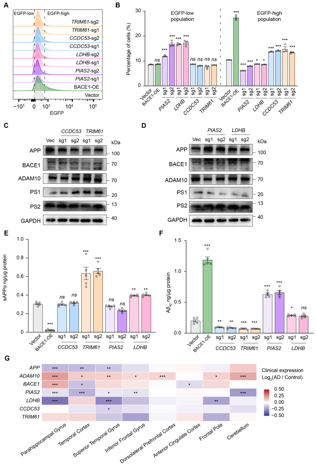 Genome-Wide CRISPR Screening Identifies Genetic Modulators of