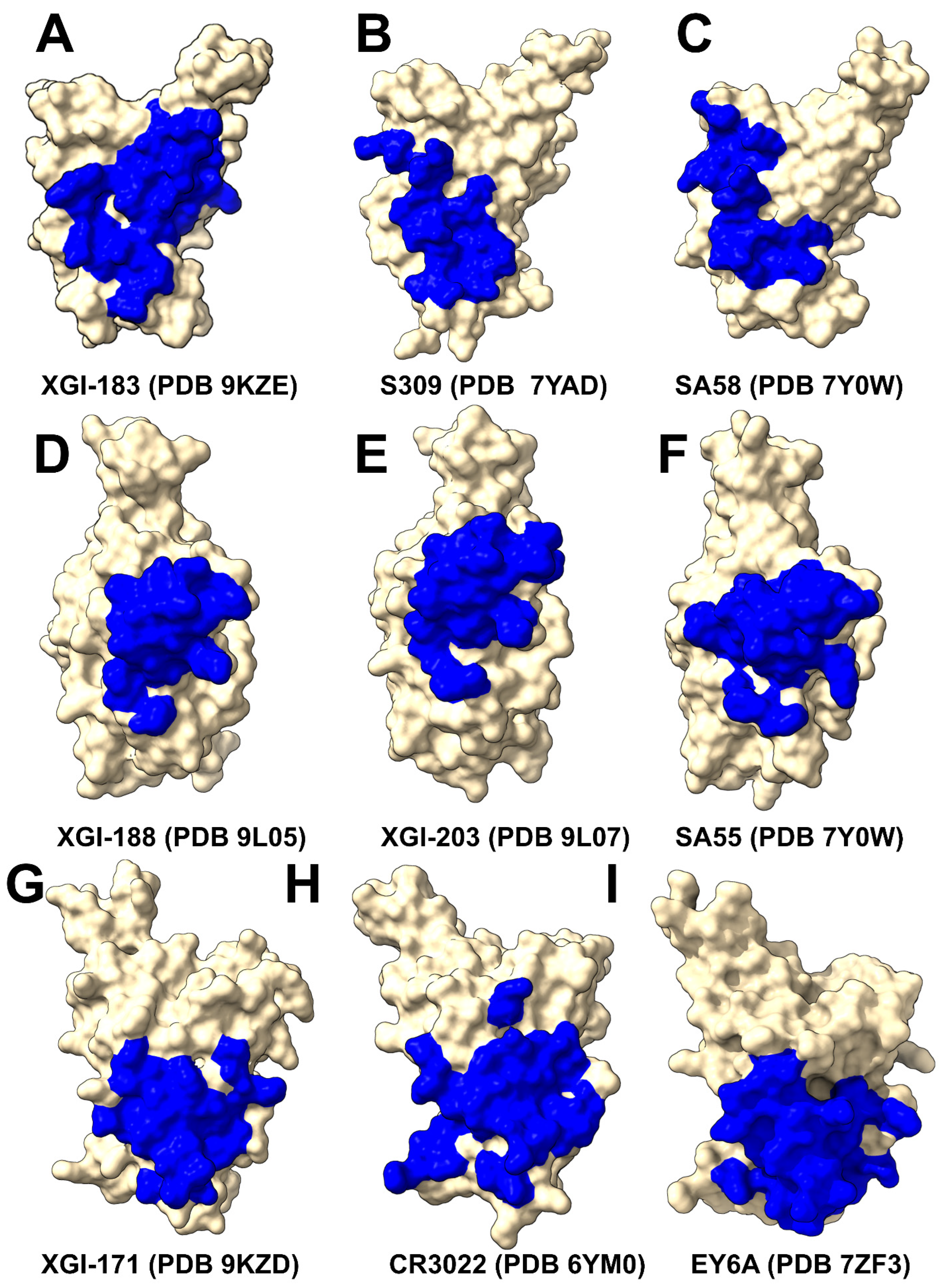 Ijms 27 04025 g002