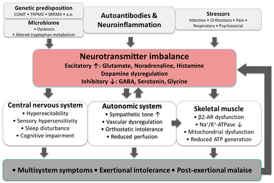 hypersensitive cns l carnitine L-Carnitine and acetyl-L-carnitine roles and neuroprotection in developing brain Impact of L-carnitine in narcolepsy