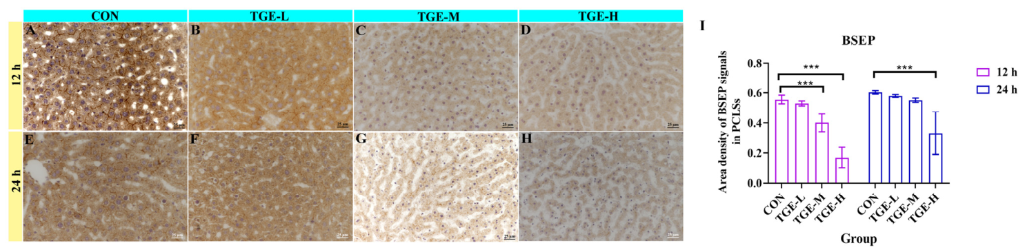 Ijms 27 04154 g008 Ijms 27 04154 g008
