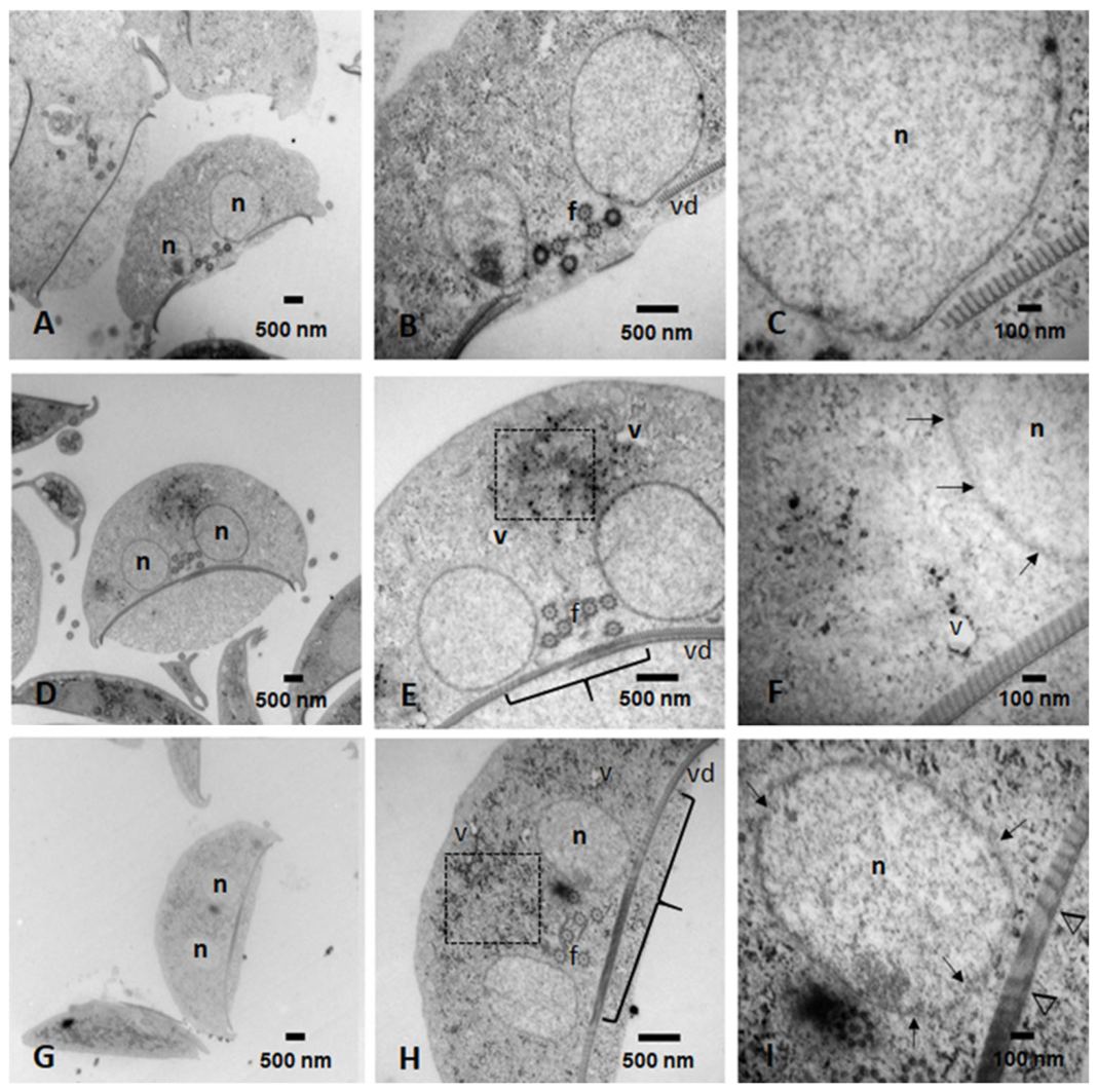 Ijms 27 04167 g009