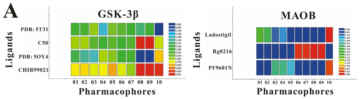Ijms 27 04204 g005a Ijms 27 04204 g005a
