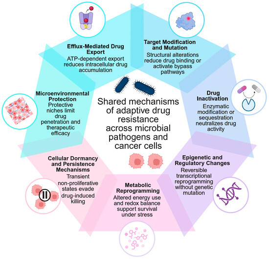 why does glutathione smell bad why does glutathione smell like rotten eggs If a serum smells bad it  usually means it works., This glutathione serum smells like rotten eggs   and thats your first clue its highly concentrated.