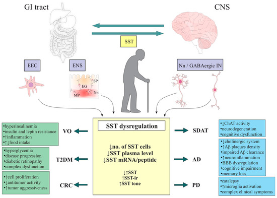 can oral glutathione damage the kidney Oxidative Stress, Glutathione Insufficiency, and Inflammatory Pathways in  Type 2 Diabetes Mellitus: Implications for Therapeutic Interventions