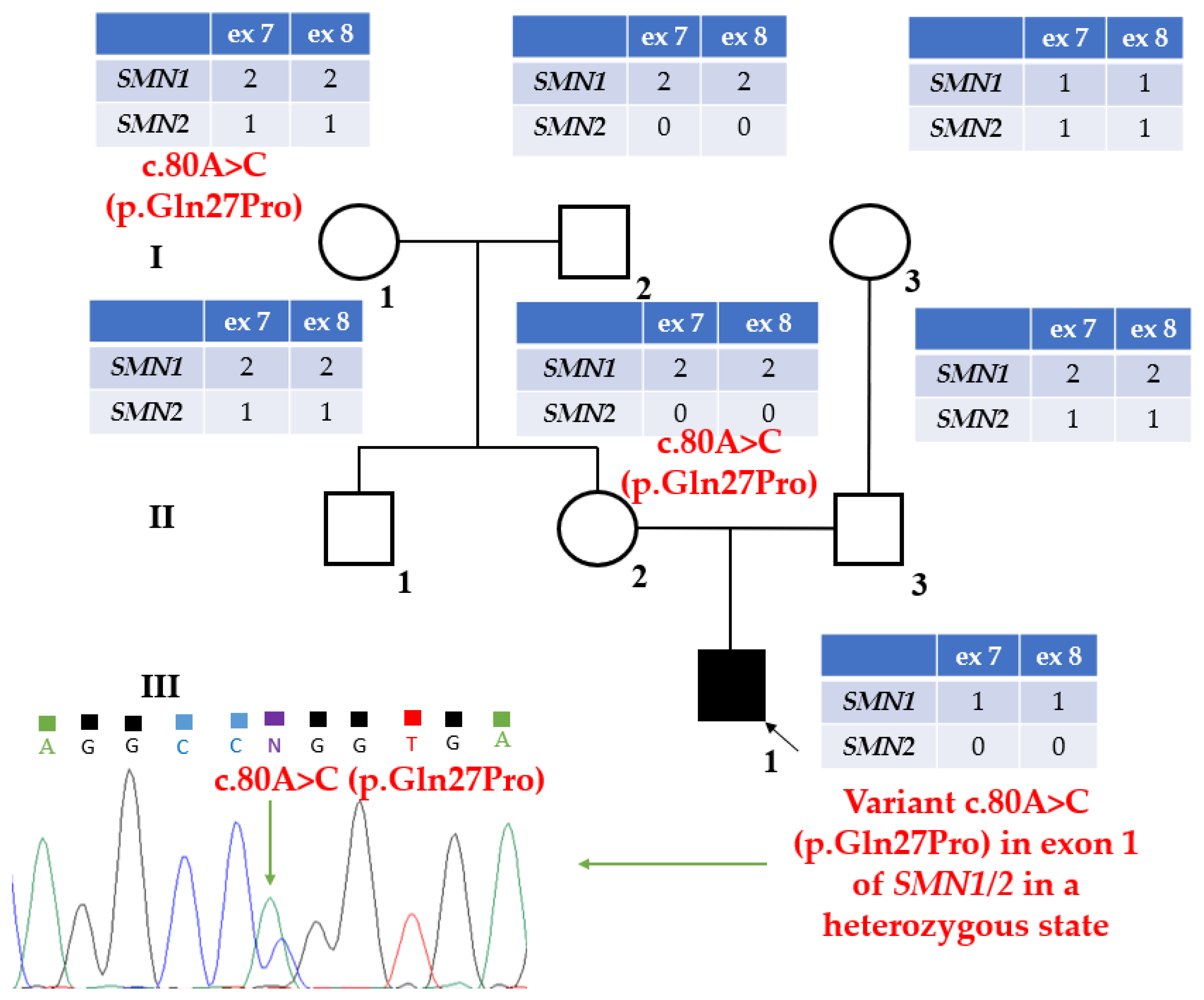 Ijms 27 04301 g001