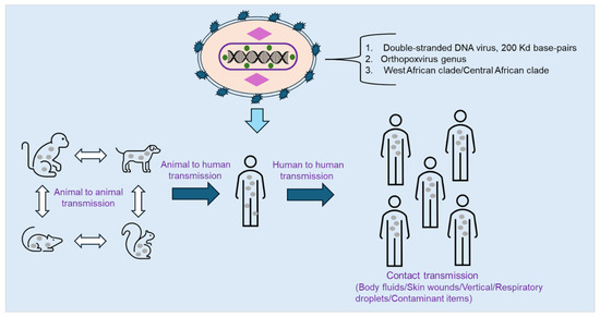 Therapeutic Innovations for Monkeypox Inhibition