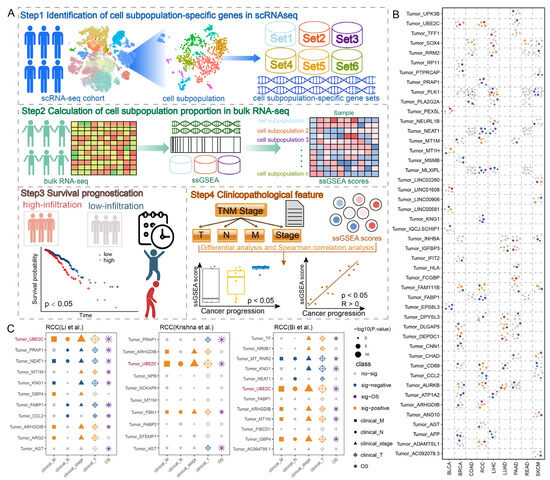 A Multi-Omics Framework Reveals Tumor Heterogeneity and Predicts