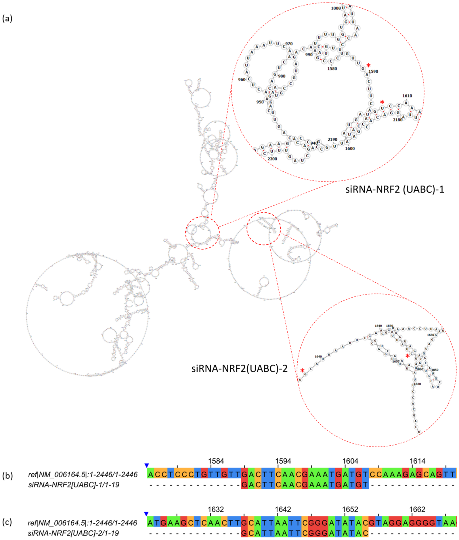 Ijms 27 04506 g004 Ijms 27 04506 g004