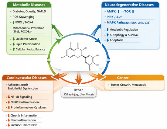 kb glutathione testimonials review female network Combining Quantitative Proteomics and Interactomics for a Deeper Insight into Molecular Differences between Human Cell Lines pH-Sensitive hydrogels for breast cancer The skincare experiment I can't Mechanistic Insights into Dihydromyricetin: Redox